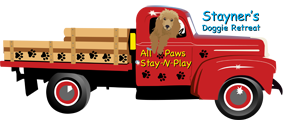 All Paws Stay-n-Play